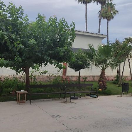 Apartamento Con Piscina Y Cerca De La Playa Apartment Benicassim Ngoại thất bức ảnh